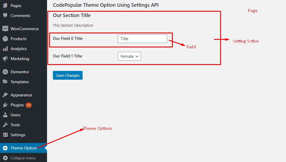 WordPress Settings API